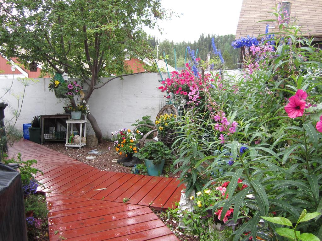 Casey'S Bed & Breakfast Whitehorse Oda fotoğraf