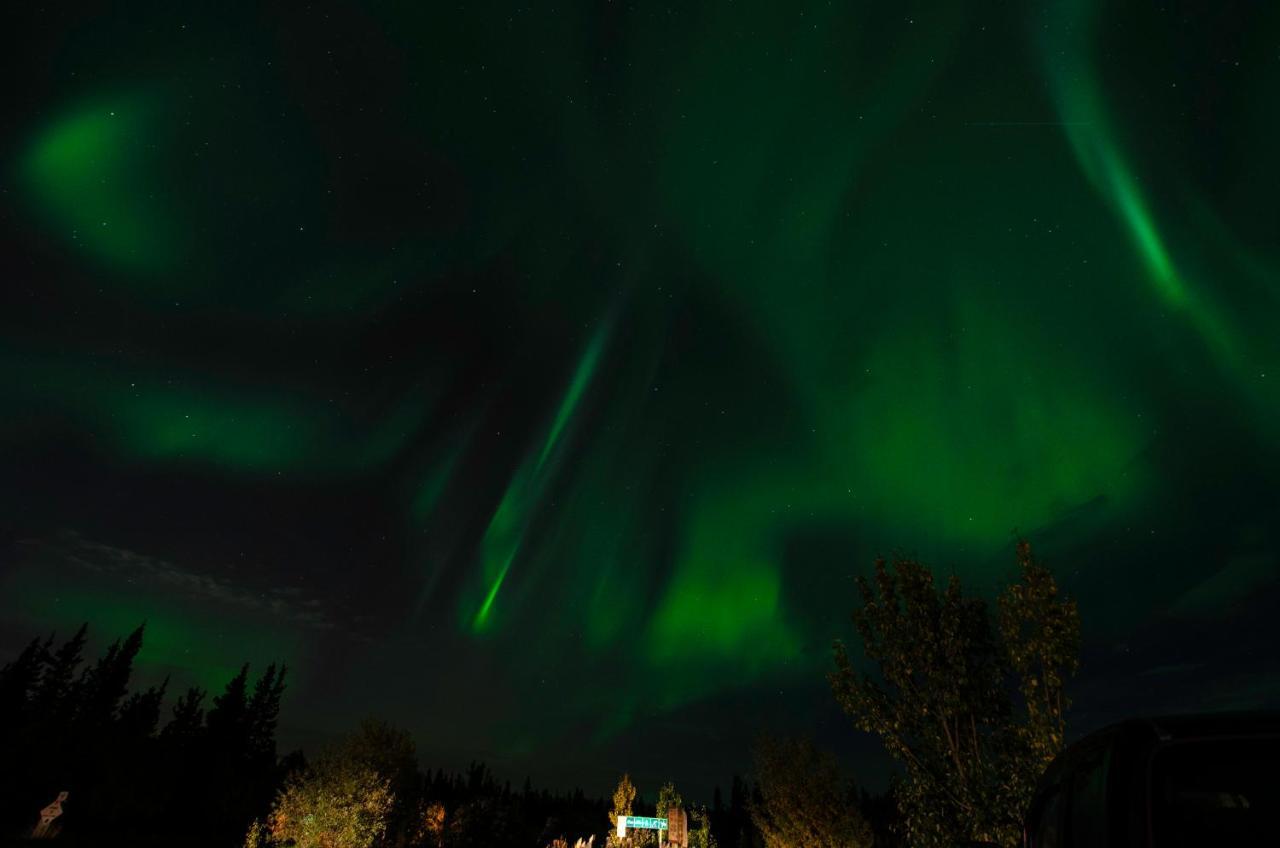 Casey'S Bed & Breakfast Whitehorse Dış mekan fotoğraf